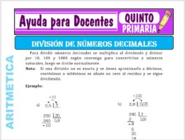 Modelo de la Ficha de División de Números Naturales para Quinto de Primaria
