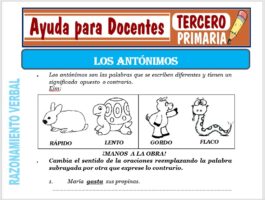 Modelo de la Ficha de Ejemplos de Antónimos para Tercero de Primaria