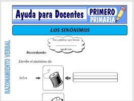 Modelo de la Ficha de Ejemplos de Sinónimos para Primero de Primaria