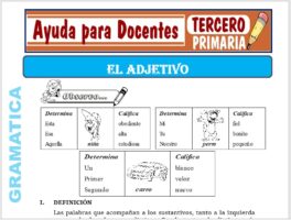 Modelo de la Ficha de El Adjetivo para Tercero de Primaria