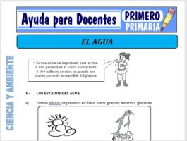 Modelo de la Ficha de El Agua para Primero de Primaria