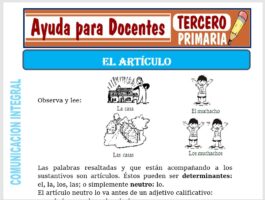 Modelo de la Ficha de El Artículo para Tercero de Primaria