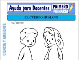 Modelo de la Ficha de El Cuerpo Humano para Primero de Primaria
