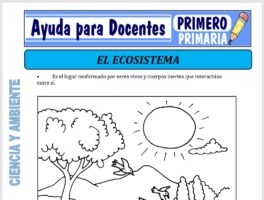 Modelo de la Ficha de El Ecosistema para Primero de Primaria