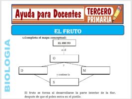 Modelo de la Ficha de El Fruto para Tercero de Primaria
