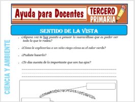 Modelo de la Ficha de El Sentido de la Vista para Tercero de Primaria
