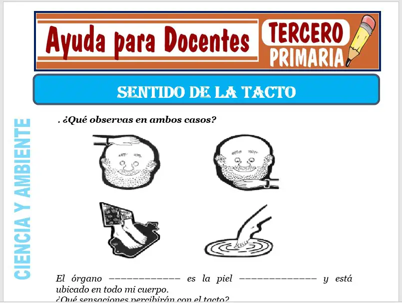 Modelo de la Ficha de El Sentido del Tacto para Tercero de Primaria Modelo de la Ficha de El Sentido del Tacto para Tercero de Primaria