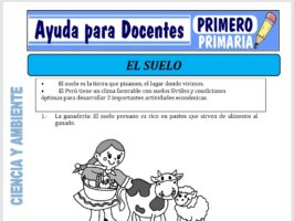 Modelo de la Ficha de El Suelo para Primero de Primaria