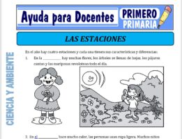 Modelo de la Ficha de Estaciones del Año para Primero de Primaria