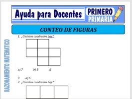 Modelo de la Ficha de Estilos de Conteo de Figuras para Primero de Primaria