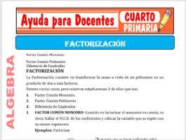 Modelo de la Ficha de La Factorización para Cuarto de Primaria