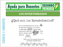 Modelo de la Ficha de Fichas de Invertebrados para Segundo de Primaria