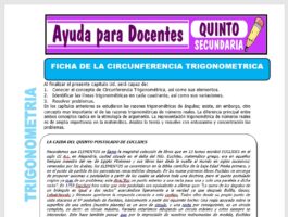 Modelo de la Ficha de Fichas de la Circunferencia Trigonométrica para Quinto de Secundaria