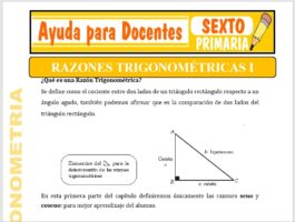 Modelo de la Ficha de Razones Trigonométricas I para Sexto de Primaria