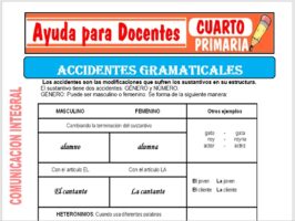Modelo de la Ficha de Fichas de Accidentes Gramaticales para Cuarto de Primaria