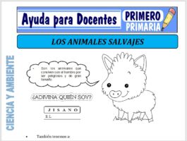 Modelo de la Ficha de Fichas de Animales Salvajes para Primero de Primaria