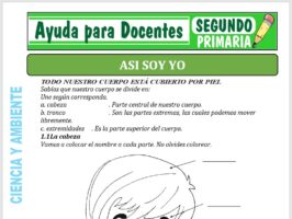 Modelo de la Ficha de Fichas de Asi Soy Yo para Segundo de Primaria