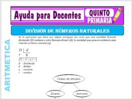 Modelo de la Ficha de División de Números Naturales para Quinto de Primaria