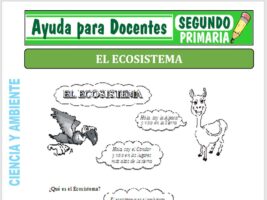 Modelo de la Ficha de Fichas de Ecosistemas para Segundo de Primaria