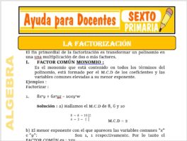 Modelo de la Ficha de La Factorización para Sexto de Primaria