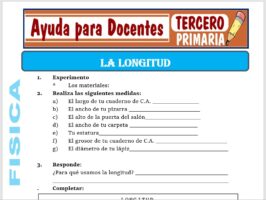 Modelo de la Ficha de Fichas de la Longitud para Tercero de Primaria