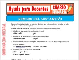 Modelo de la Ficha de Fichas de Número del Sustantivo para Cuarto de Primaria