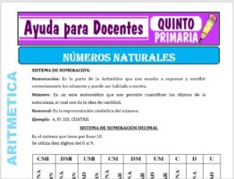 Modelo de la Ficha de Los Números Naturales para Quinto de Primaria
