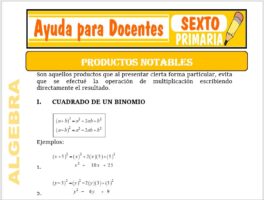 Modelo de la Ficha de Productos Notables para Sexto de Primaria