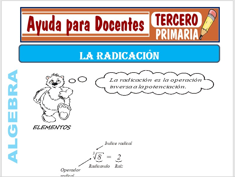 Modelo de la Ficha de Fichas de la Radicación para Tercero de Primaria