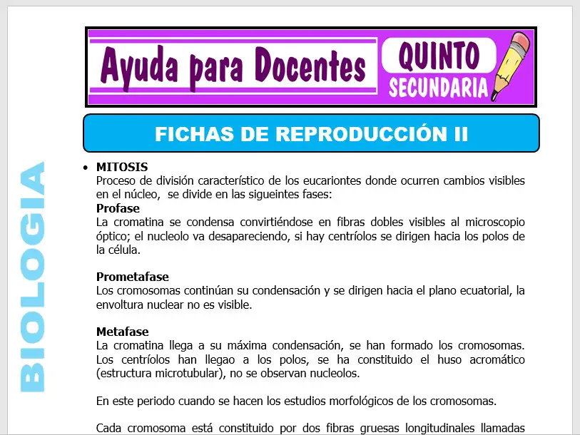 Modelo de la Ficha de Fichas de Reproducción II para Quinto de Secundaria