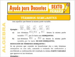 Modelo de la Ficha de Términos Semejantes para Sexto de Primaria