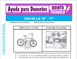 Modelo de la Ficha de Uso de la “B” y “V” para Quinto de Primaria