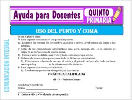 Modelo de la Ficha de Uso del Punto y Coma para Quinto de Primaria