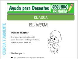Modelo de la Ficha de Fichas del Agua para Segundo de Primaria