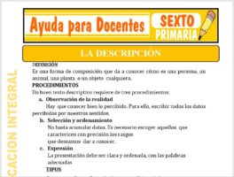 Modelo de la Ficha de La Descripción para Sexto de Primaria
