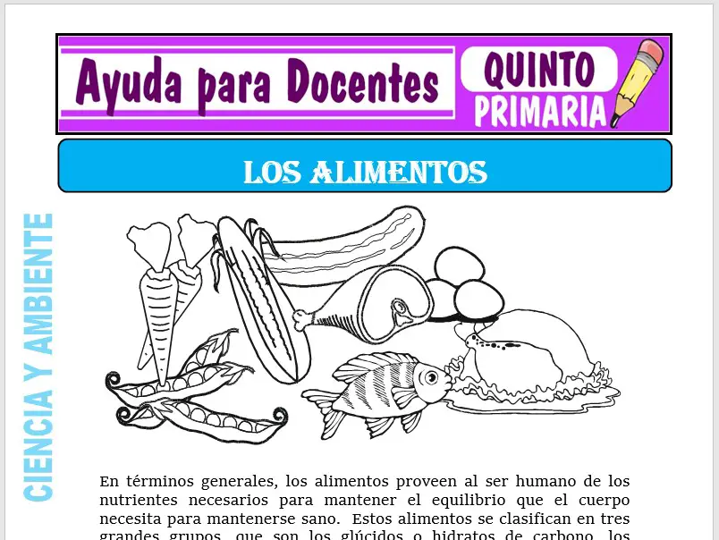 Modelo de la Ficha de Los Alimentos para Quinto de Primaria