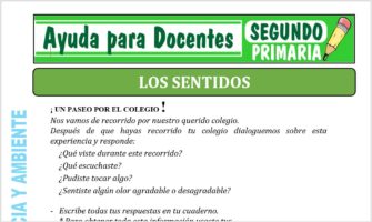 Modelo de la Ficha de Fichas de los Sentidos para Segundo de Primaria