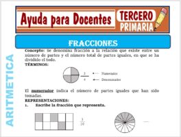 Modelo de la Ficha de Las Fracciones para Tercero de Primaria