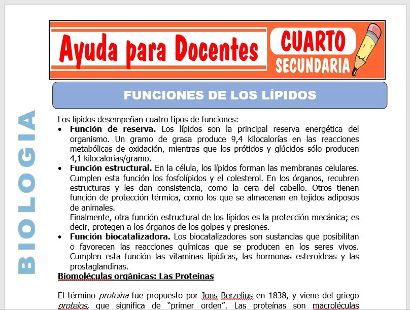 Modelo de la Ficha de Función de los Lípidos para Cuarto de Secundaria
