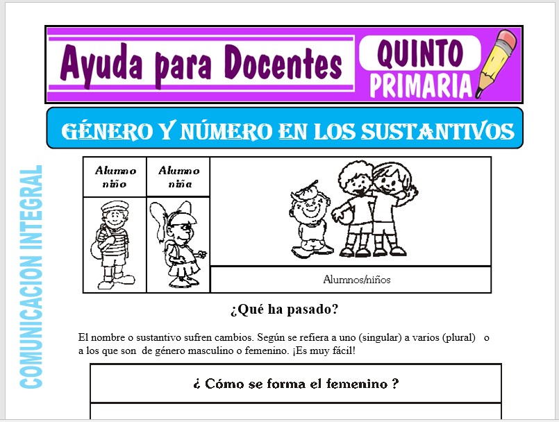 Modelo de la Ficha de Género y Número del Sustantivo para Quinto de Primaria Modelo de la Ficha de Género y Número del Sustantivo para Quinto de Primaria