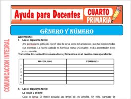 Modelo de la Ficha de Genero y Número para Cuarto de Primaria