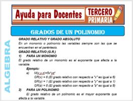 Modelo de la Ficha de Grados de un Polinomio para Tercero de Primaria