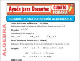Modelo de la Ficha de Grados de una Expresión Algebraica para Cuarto de Primaria