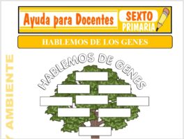 Modelo de la Ficha de Hablemos de los Genes para Sexto de Primaria