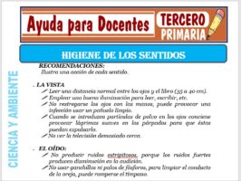 Modelo de la Ficha de Higiene de los Sentidos para Tercero de Primaria