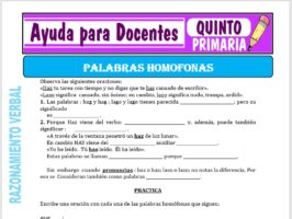 Modelo de la Ficha de Palabras Homófonas para Quinto de Primaria