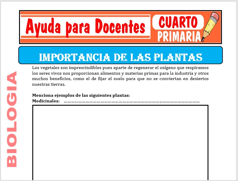 Modelo de la Ficha de Importancia de las Plantas para Cuarto de Primaria