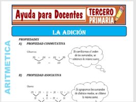 Modelo de la Ficha de La Adición para Tercero de Primaria