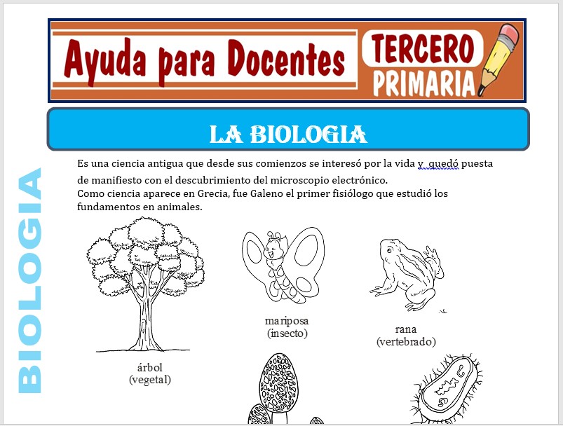 Modelo de la Ficha de La Biología para Tercero de Primaria