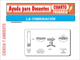 Modelo de la Ficha de La Combinación para Cuarto de Primaria